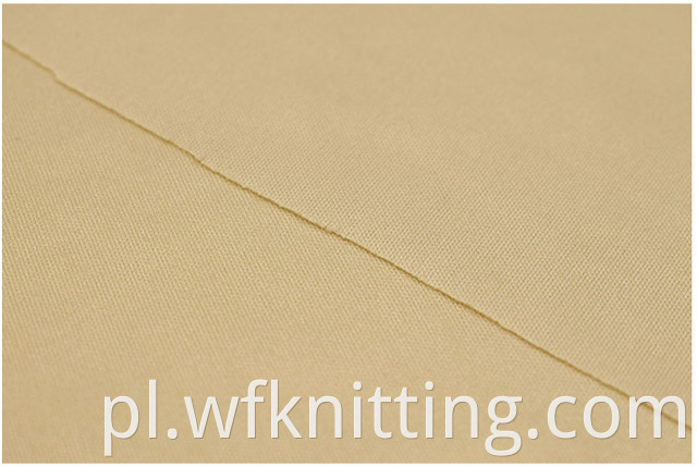 100% Polyester Interlock Knitted Fabric